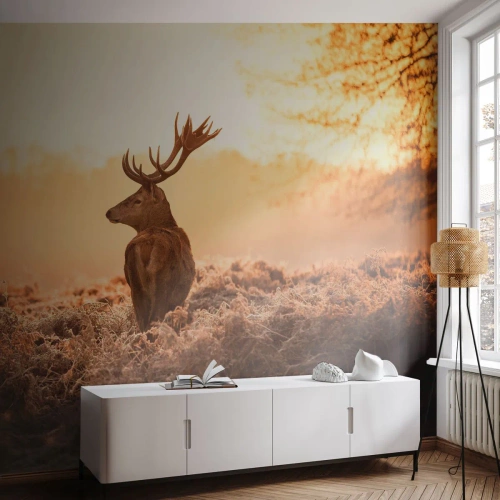 Fotomural Premium Sand - Un líder por derecho - Paisaje, Ciervo, animales - 300x210 cm