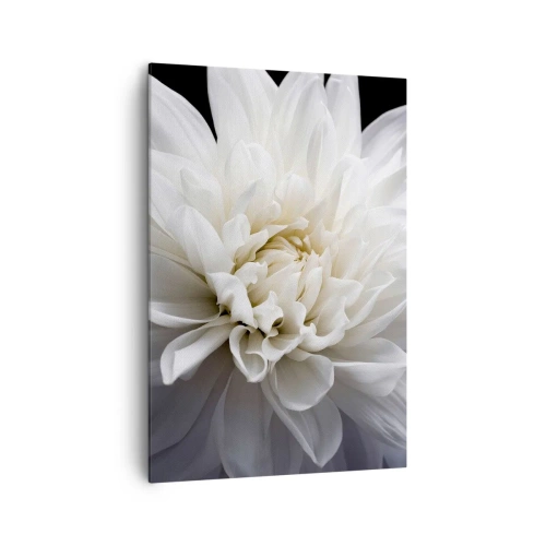 Cuadro sobre lienzo - Impresión de Imagen - Una delicada flor blanca sobre un fondo negro en una elegante composición. - 70x100cm - La novia de la mañana - Decoración de pared moderna para salón y dormitorio ARTTOR