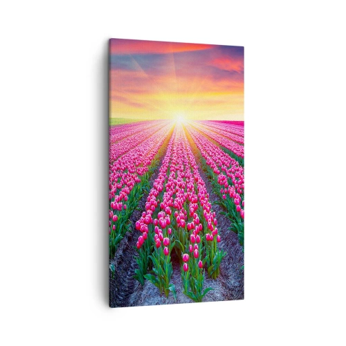 Cuadro sobre lienzo - Impresión de Imagen - Granja de belleza - 45x80 cm
