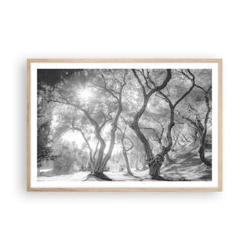 Póster en marco roble claro - En un olivar - 91x61 cm