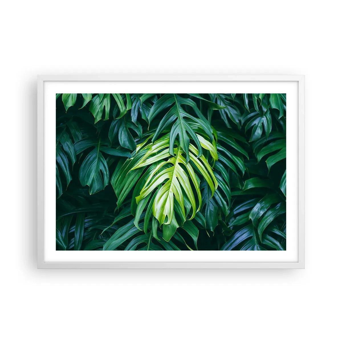 Póster en marco blanco - Sumérjase en la frescura - 70x50 cm