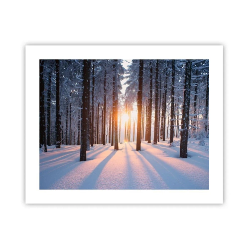 Póster - Claramente en blanco y negro - 50x40 cm