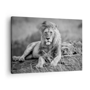 Cuadro sobre lienzo - Impresión de Imagen - León descansando sobre una roca en estilo monocromático. - 70x50cm - La siesta real - Decoración de pared moderna para salón y dormitorio ARTTOR