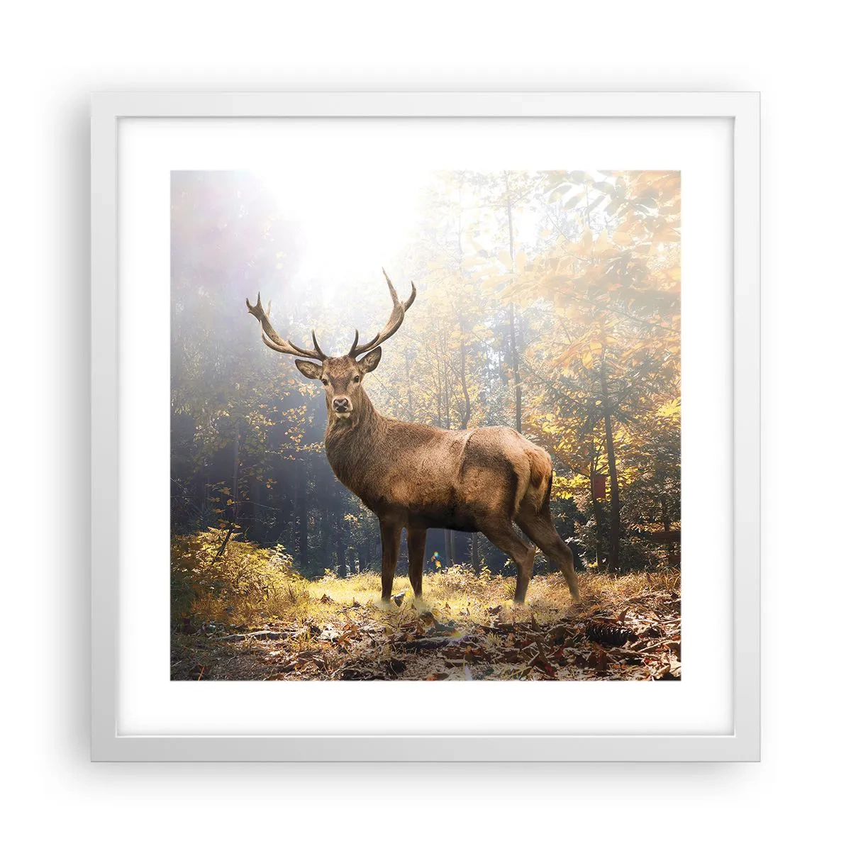 Póster en marco blanco - Con toda la majestuosidad - 40x40 cm
