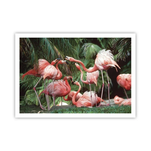 Póster - Un grupo de flamencos en un entorno tropical rodeado de palmeras. - 100x70cm - Cotilleos de la tarde - Decoración de pared moderna para salón y dormitorio ARTTOR