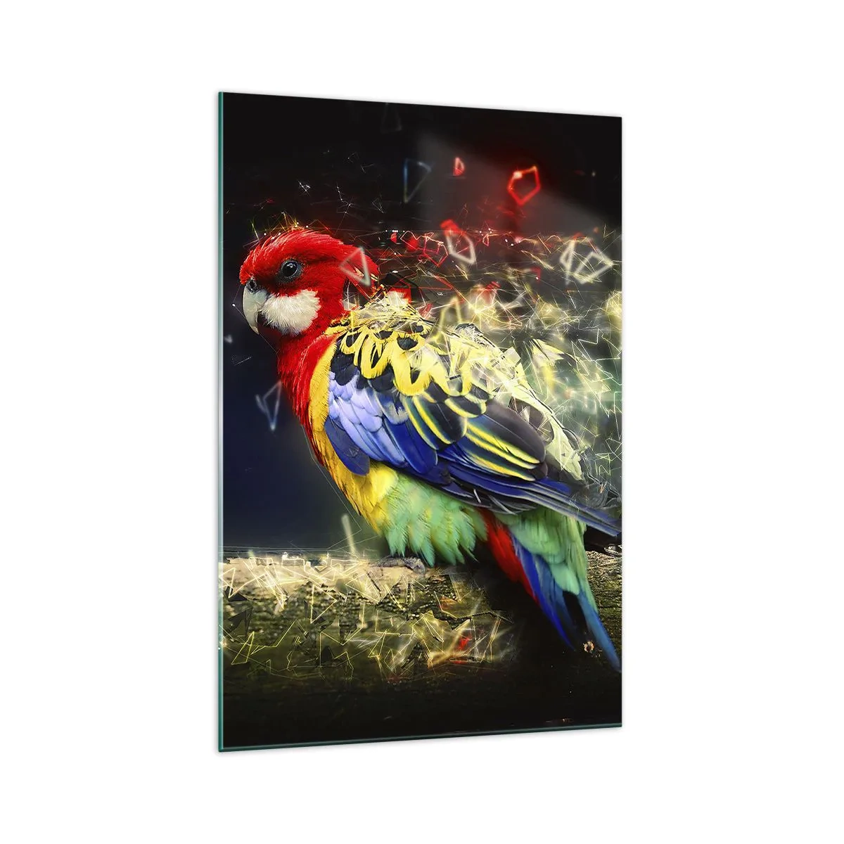 Cuadro sobre vidrio - Impresiones sobre Vidrio - Un loro en colores vivos sobre un fondo de efectos de luz. - 70x100cm - Un mensajero del glamour - Decoración de pared moderna para salón y dormitorio ARTTOR
