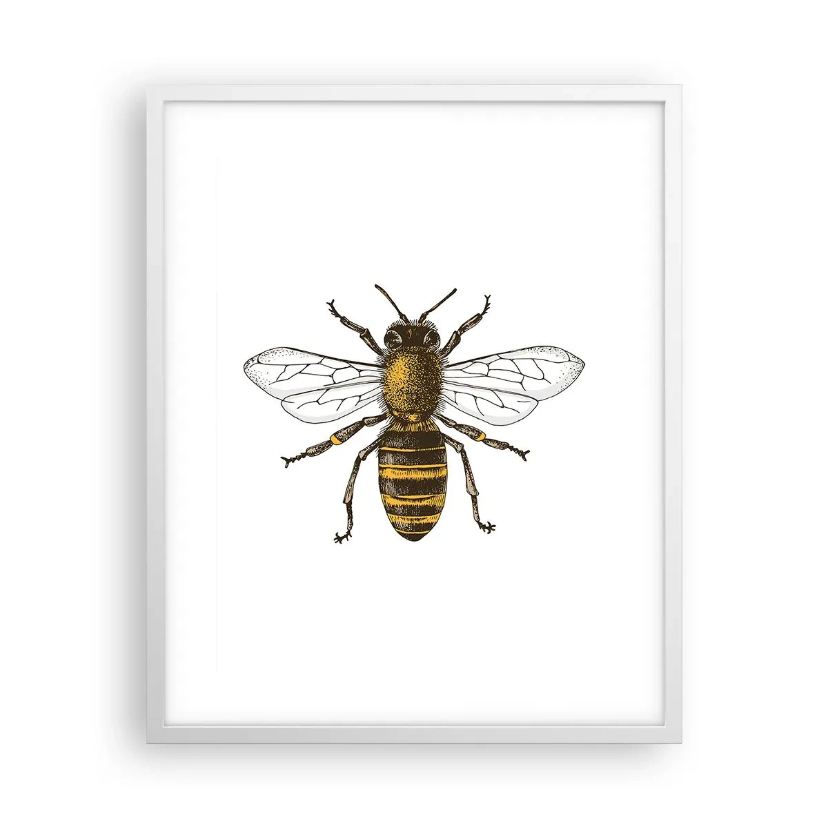 Póster en marco blanco - Bondad natural - 40x50 cm