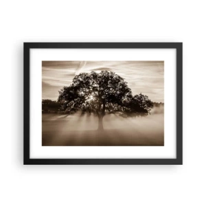 Póster en marco negro - Un árbol de buenas noticias  - 40x30 cm