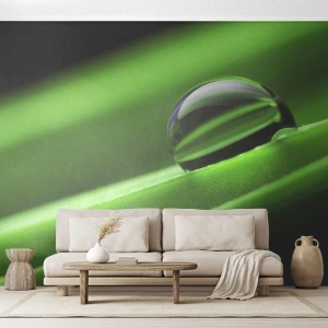 Fotomural Premium Canvas - La vida de cerca - Abstracción, Gráficos, Una gota de agua - 400x280 cm