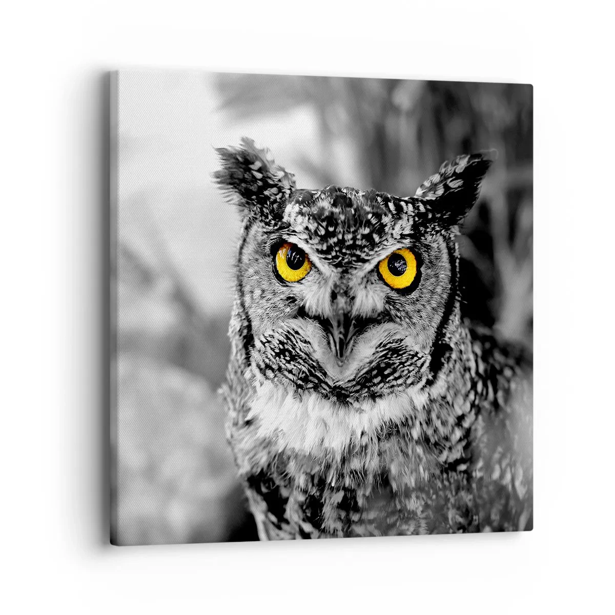 Cuadro sobre lienzo - Impresión de Imagen - Nada se puede ocultar - 40x40 cm