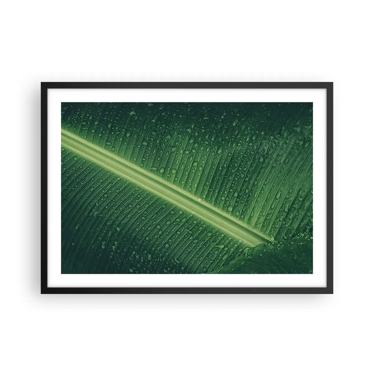 Póster en marco negro - Una hoja verde con gotas de agua en su superficie. - 70x50cm - Estructura del verde - Decoración de pared moderna para salón y dormitorio ARTTOR