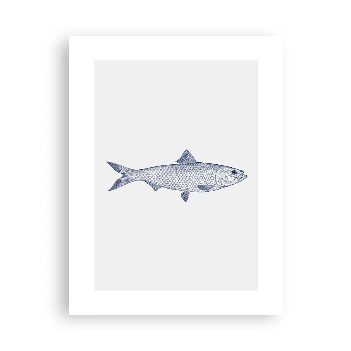 Póster - Saludos desde los mares del norte - 30x40 cm