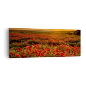 Cuadro sobre lienzo - Impresión de Imagen - Un campo de amapolas rojas bajo el resplandor del sol poniente. - 140x50cm - Entre los campos de flores - Decoración de pared moderna para salón y dormitorio ARTTOR
