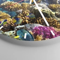 Esfera sin numeración, con rayas