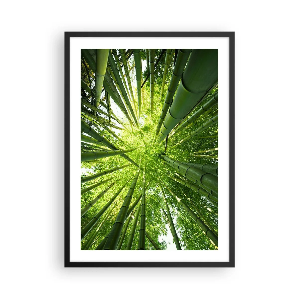Póster en marco negro - Vista hacia el denso bosque de bambú. - 50x70cm - En un bosquecillo de bambú - Decoración de pared moderna para salón y dormitorio ARTTOR