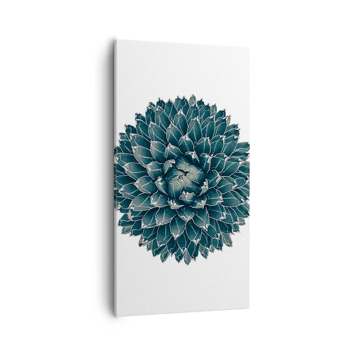 Cuadro sobre lienzo - Impresión de Imagen - Estrella del desierto - 55x100 cm