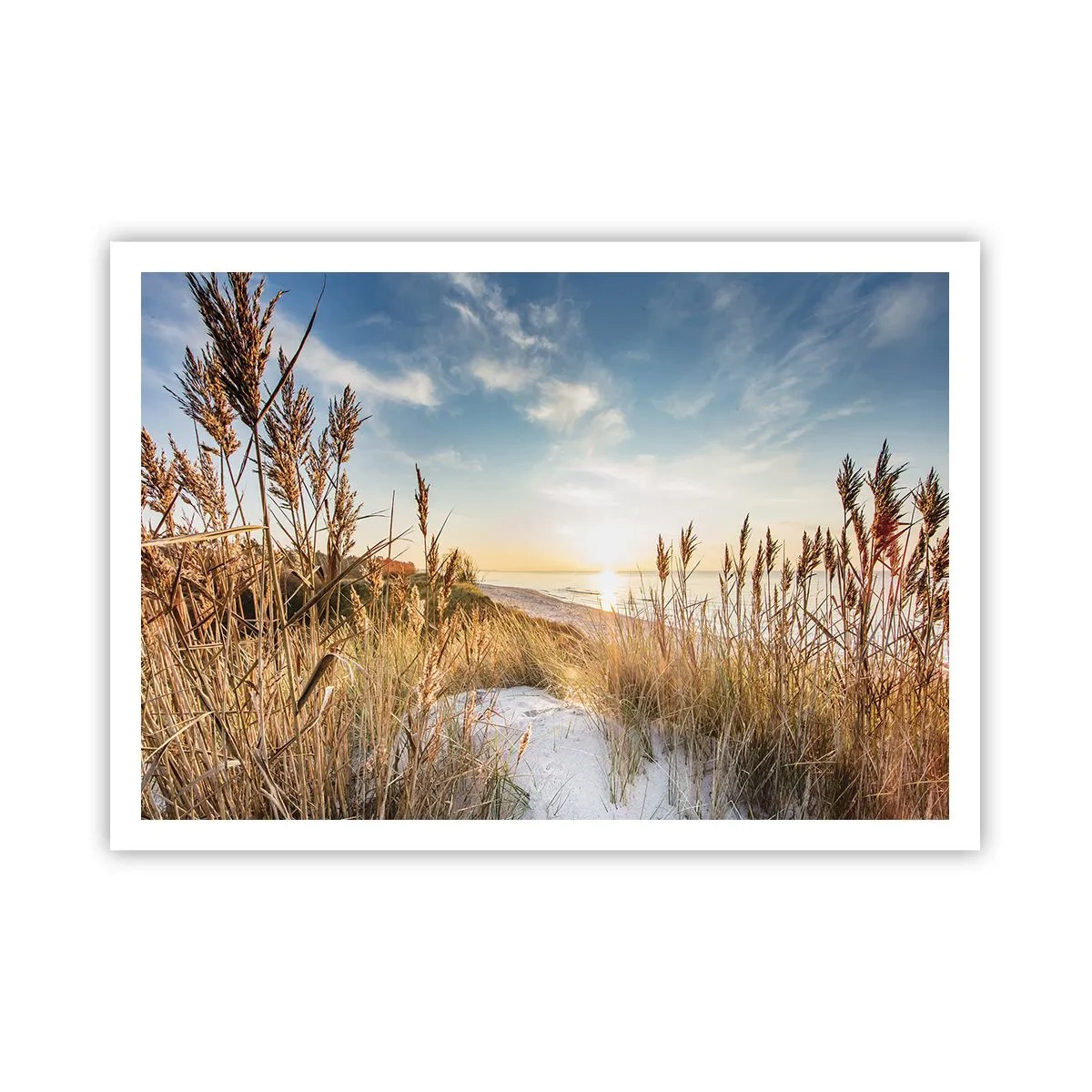 Póster - Una playa pintoresca con césped y la puesta de sol. - 100x70cm - Playa del norte - Decoración de pared moderna para salón y dormitorio ARTTOR