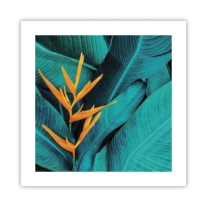 Póster - Flor del Edén - 40x40 cm