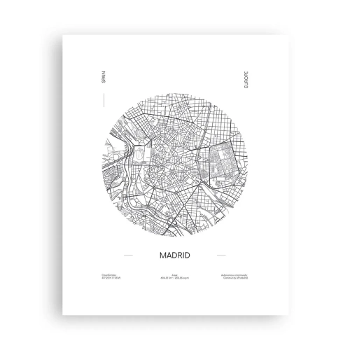 Póster - Anatomía de Madrid - 40x50 cm