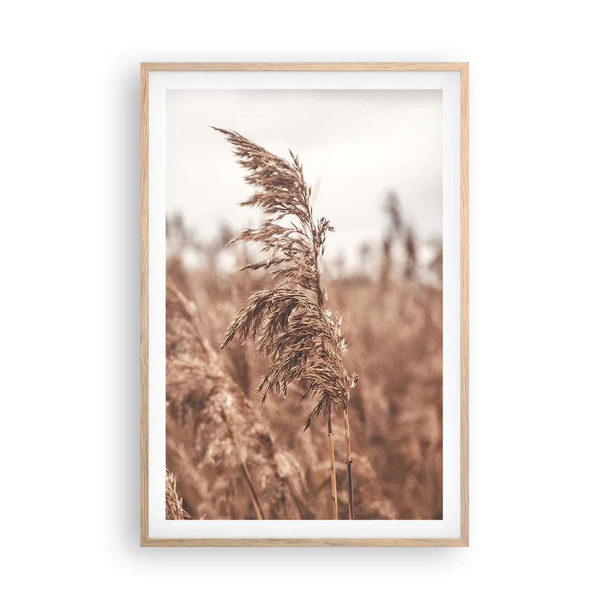 Póster en marco roble claro - El otoño ya está en los campos - 61x91 cm