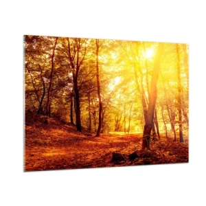 Cuadro sobre vidrio - Impresiones sobre Vidrio - Bosque otoñal iluminado por el cálido resplandor del sol. - 100x70cm - Hacia un claro de oro - Decoración de pared moderna para salón y dormitorio ARTTOR