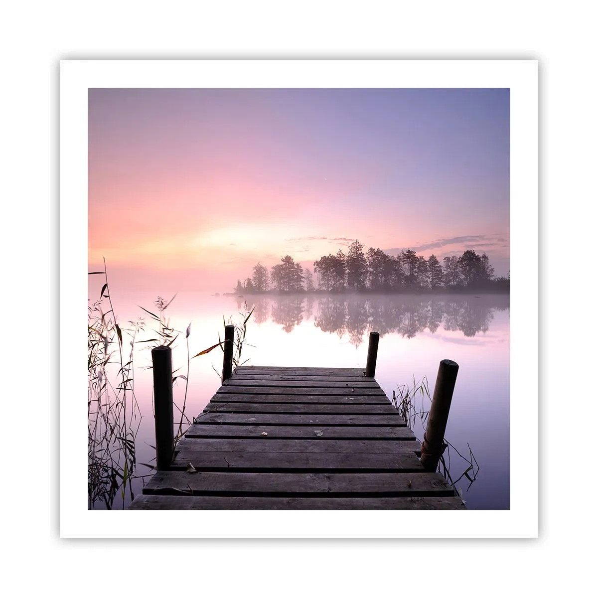 Póster - De la niebla lila... - 60x60 cm
