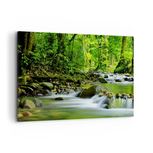 Cuadro sobre lienzo - Impresión de Imagen - Un arroyo en un exuberante bosque tropical. - 100x70cm - Flotar en un mar de verde - Decoración de pared moderna para salón y dormitorio ARTTOR