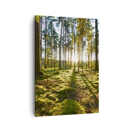 Cuadro sobre lienzo - Impresión de Imagen - Bosque verde iluminado por la luz del sol sobre el musgo. - 50x70cm - ...Más allá de los siete bosques - Decoración de pared moderna para salón y dormitorio ARTTOR