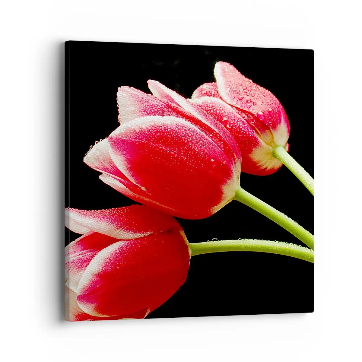 Cuadro sobre lienzo - Impresión de Imagen - Promesa de amor puro - 40x40 cm