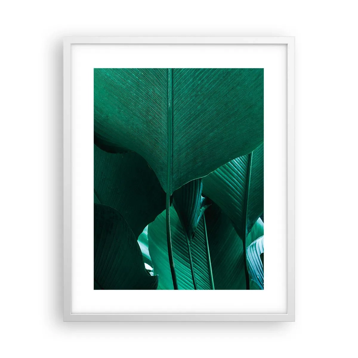Póster en marco blanco - De cara a la luz - 40x50 cm