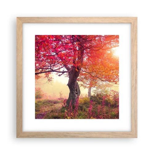 Póster en marco roble claro - Un frenesí de floración - 30x30 cm