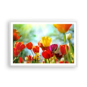 Póster en marco blanco - Todos los tonos del sol - 91x61 cm