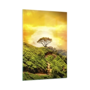 Cuadro sobre vidrio - Impresiones sobre Vidrio - Colinas verdes con un árbol solitario al atardecer - 50x70cm - Por un camino sinuoso, por una verde pendiente - Decoración de pared moderna para salón y dormitorio ARTTOR