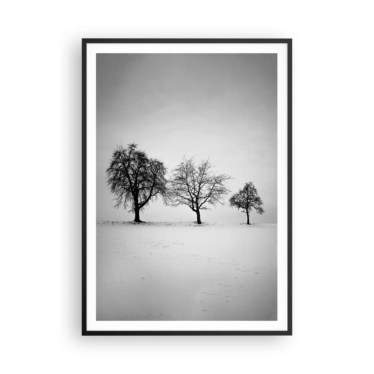 Póster en marco negro - ¿Con qué sueñan? - 70x100 cm