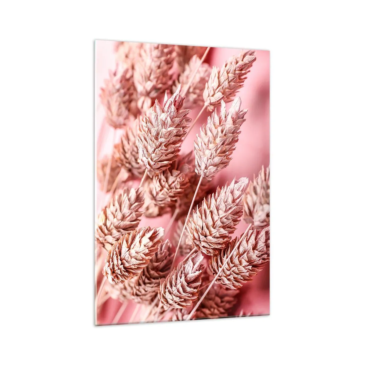 Cuadro sobre vidrio - Impresiones sobre Vidrio - Primer plano de las orejas teñidas de rosa. - 70x100cm - Estructura floral en rosa - Decoración de pared moderna para salón y dormitorio ARTTOR