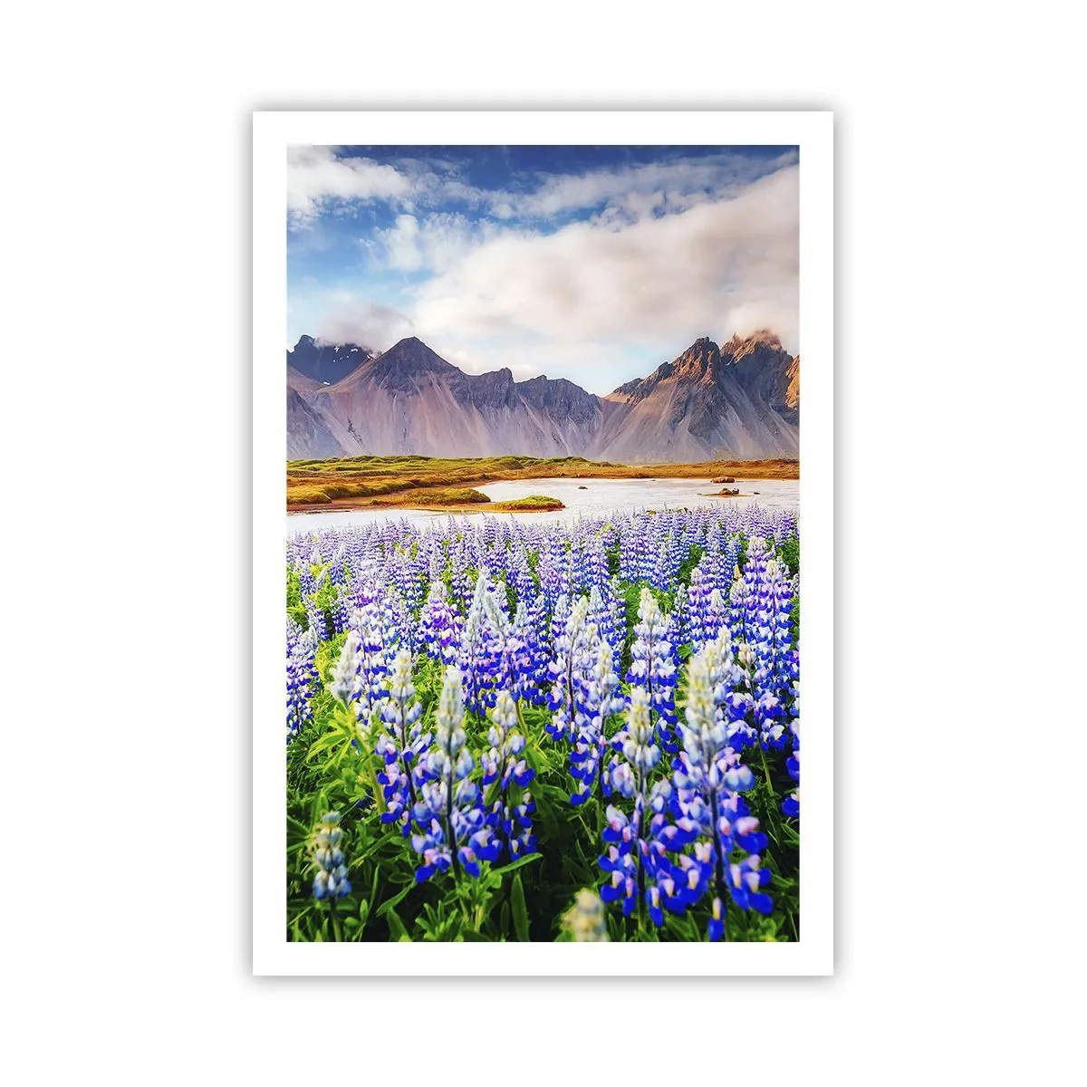 Póster - La fuerza y la severidad junto a la dulzura - 61x91 cm