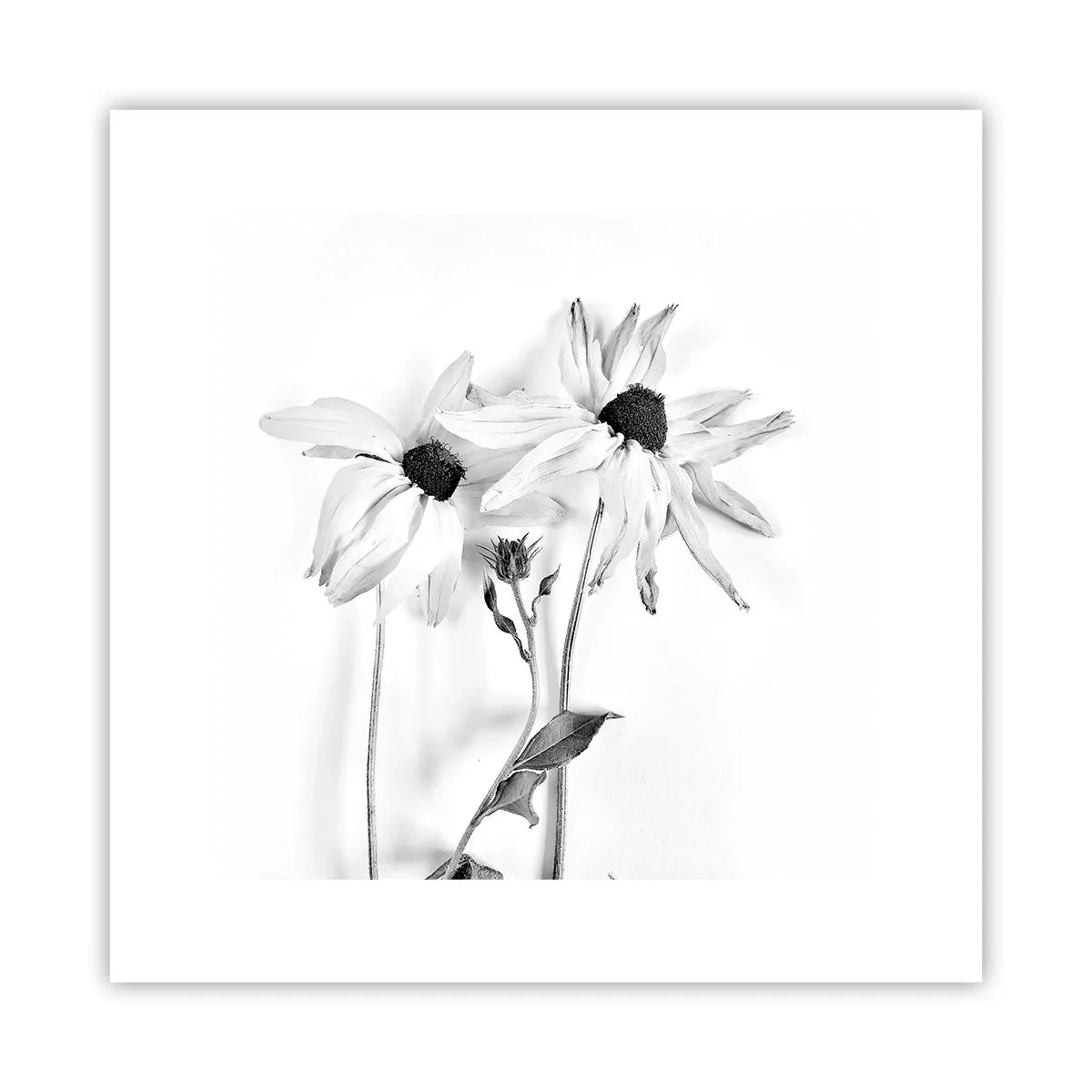 Póster - Nadie quiere estar solo - 30x30 cm