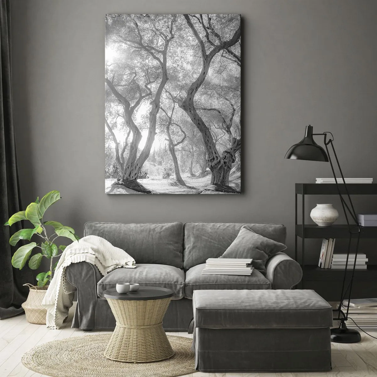 Cuadro sobre lienzo - Impresión de Imagen - Vista en blanco y negro de árboles en un olivar con rayos de sol. - 80x120cm - En un olivar - Decoración de pared moderna para salón y dormitorio ARTTOR