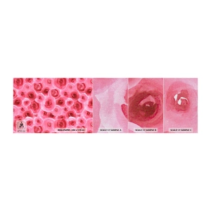 Muestra de fotomural Premium Canvas - Rosas abajo y arriba - flores, Belleza, Romanticismo - 100x30 cm