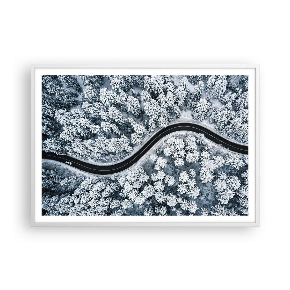 Póster en marco blanco - A través de un bosque invernal - 100x70 cm