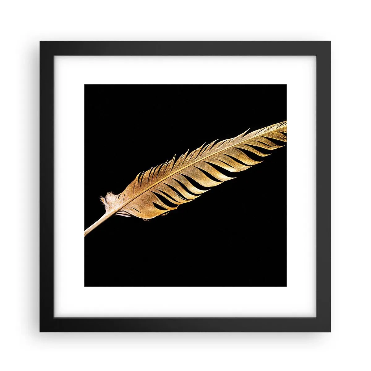 Póster en marco negro - Pluma de alta calidad - 30x30 cm