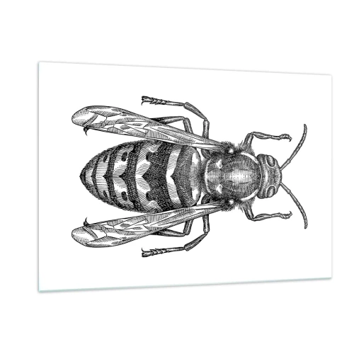 Cuadro sobre vidrio - Impresiones sobre Vidrio - Ilustración retro en blanco y negro de una avispa sobre un fondo blanco. - 120x80cm - Desde un planeta de insectos - Decoración de pared moderna para salón y dormitorio ARTTOR