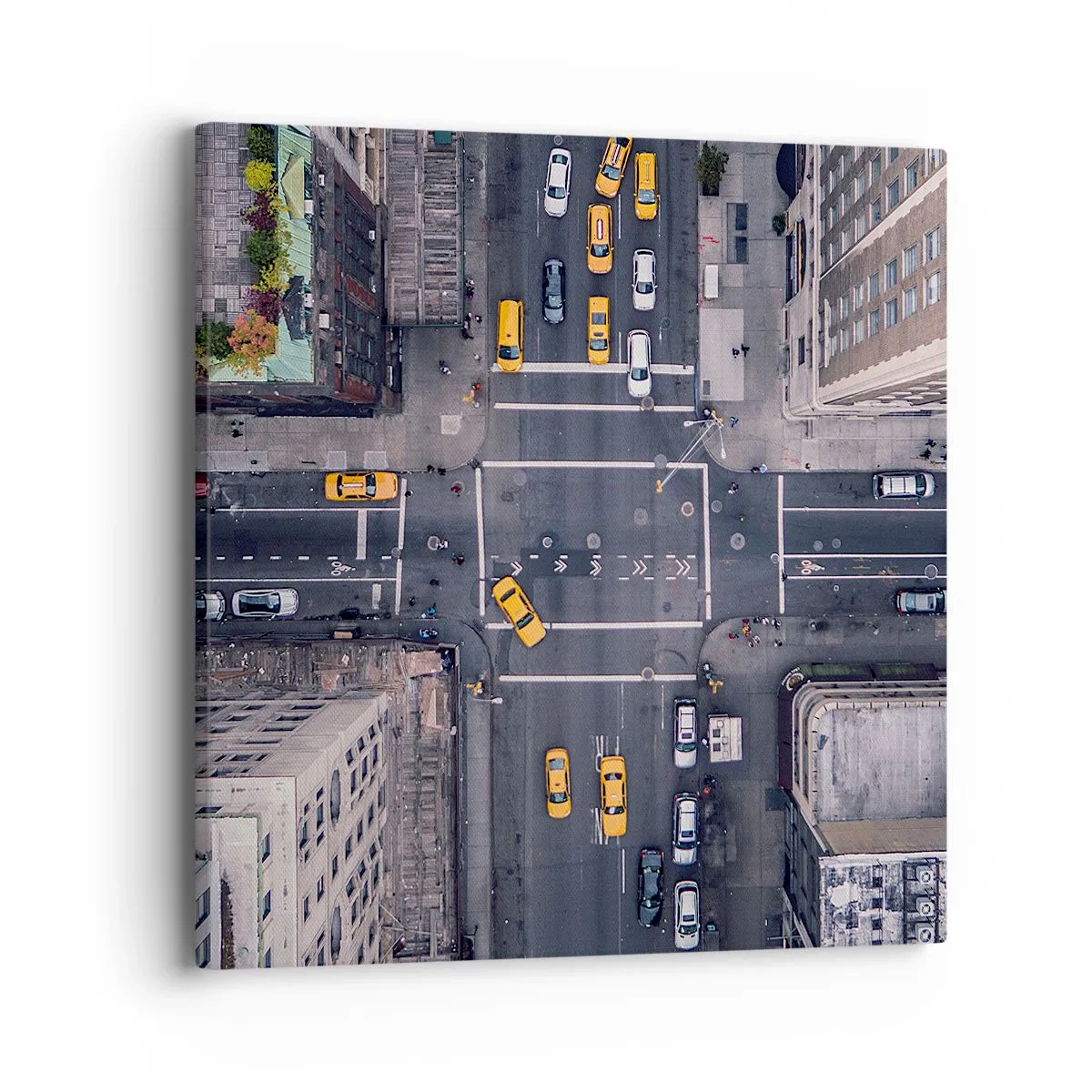 Cuadro sobre lienzo - Impresión de Imagen - Una simple elección - 40x40 cm