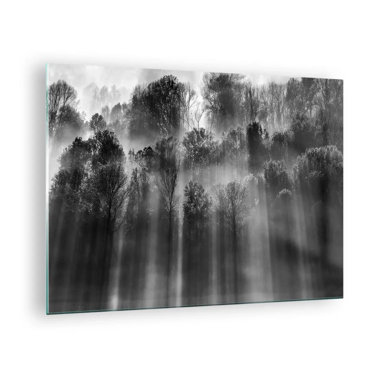 Cuadro sobre vidrio - Impresiones sobre Vidrio - Rayos de luz blancos y negros penetrando el bosque. - 70x50cm - En los flujos de luz - Decoración de pared moderna para salón y dormitorio ARTTOR