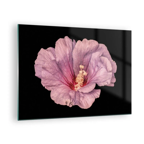 Cuadro sobre vidrio - Impresiones sobre Vidrio - Primer plano de una flor de hibisco rosa sobre un fondo negro - 70x50cm - Directo al corazón - Decoración de pared moderna para salón y dormitorio ARTTOR