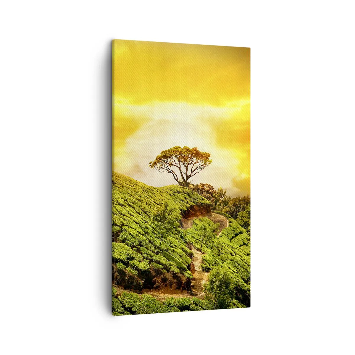 Cuadro sobre lienzo - Impresión de Imagen - Por un camino sinuoso, por una verde pendiente - 45x80 cm