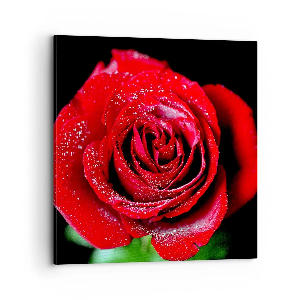 Cuadro sobre lienzo - Impresión de Imagen - Eso es el amor - 70x70 cm