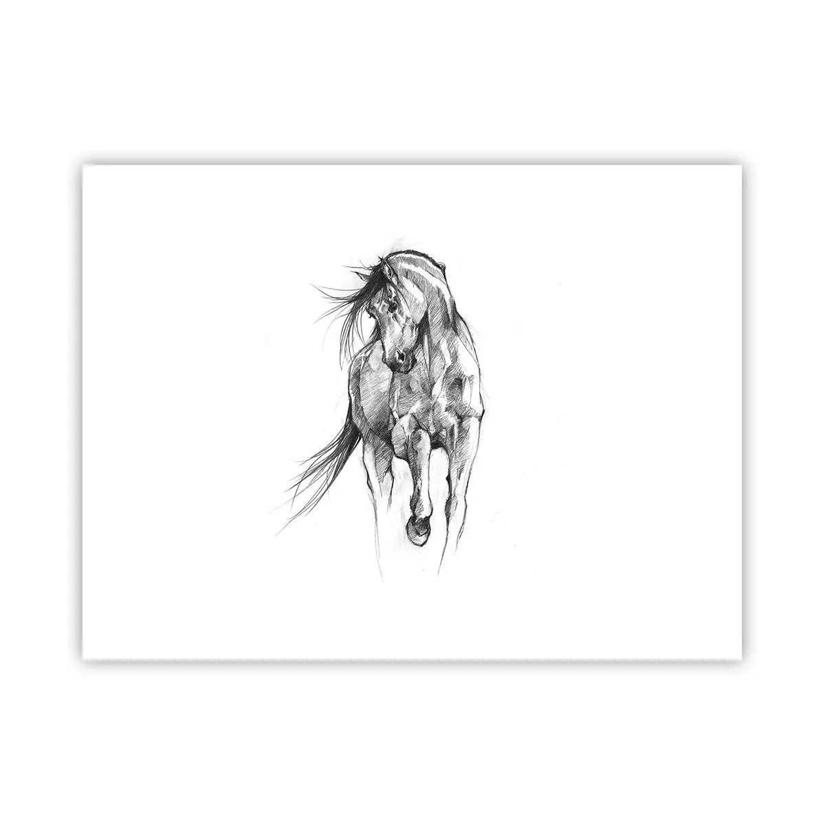 Póster - En un elegante trote - 40x30 cm