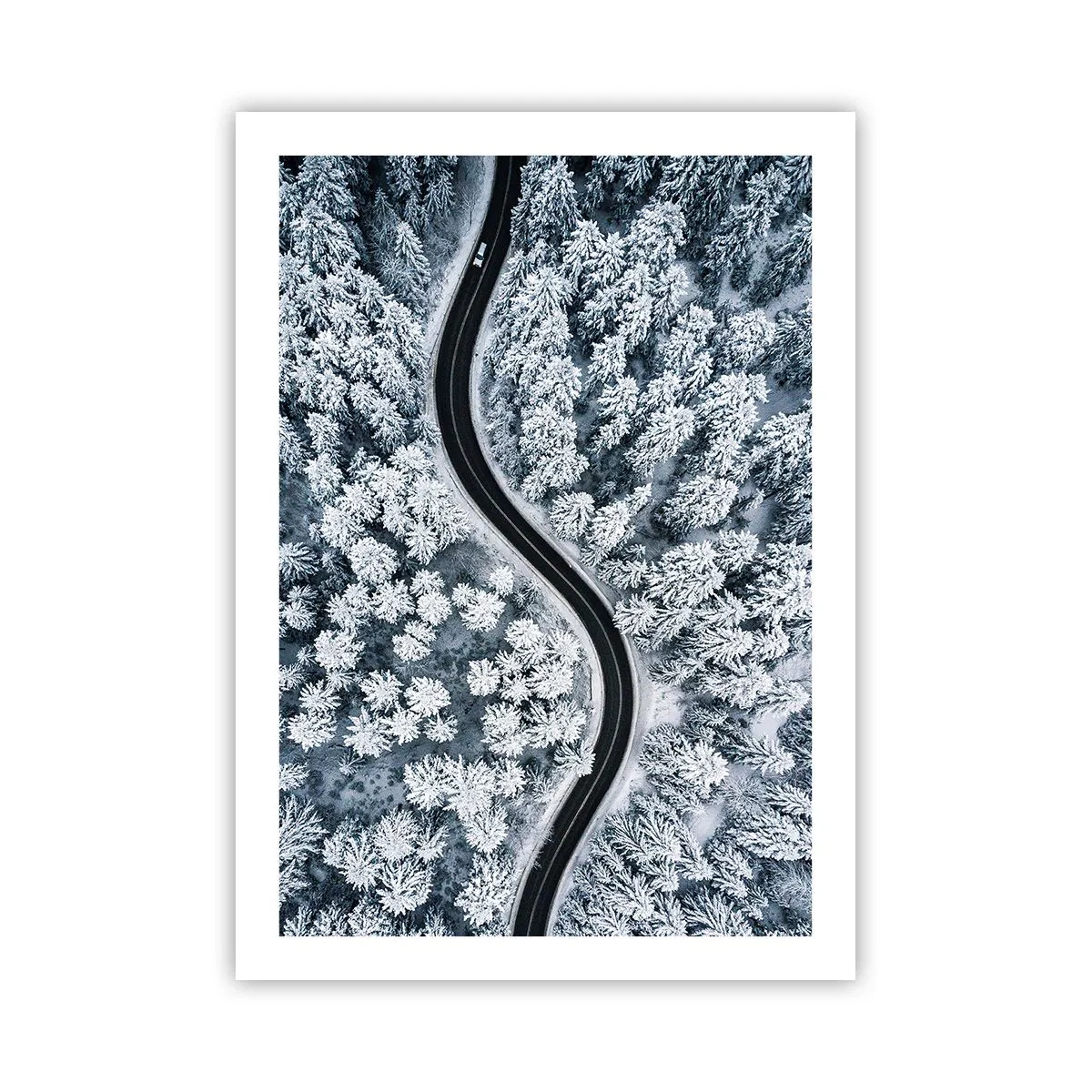 Póster - Un pintoresco camino entre árboles cubiertos de nieve a vista de pájaro. - 50x70cm - A través de un bosque invernal - Decoración de pared moderna para salón y dormitorio ARTTOR