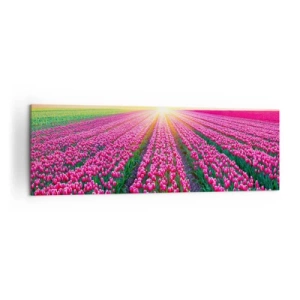 Cuadro sobre lienzo - Impresión de Imagen - Un campo de tulipanes al atardecer - 160x50cm - Granja de belleza - Decoración de pared moderna para salón y dormitorio ARTTOR